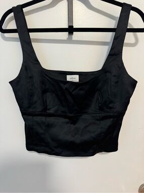 Aritzia Wilfred Shine Bustier